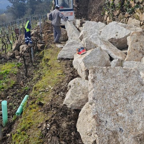 WhatsApp Image 2025-02-02 at 20.33.45 (5)